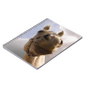 Graue Horse Nase Nah Notizblock (Linke Seite)