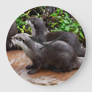 Graue Hungerotter, große runde Wall-Uhr Wanduhr