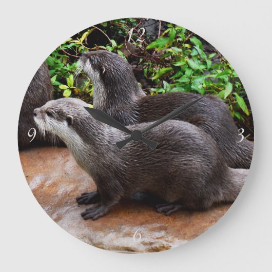 Graue Hungerotter, große runde Wall-Uhr Wanduhr (Vorderseite)