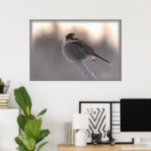 Graue Jay 2 Poster (Heimbüro)