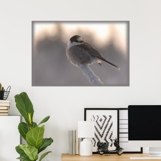 Graue Jay 2 Poster (Heimbüro)