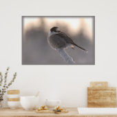 Graue Jay 2 Poster (Küche)