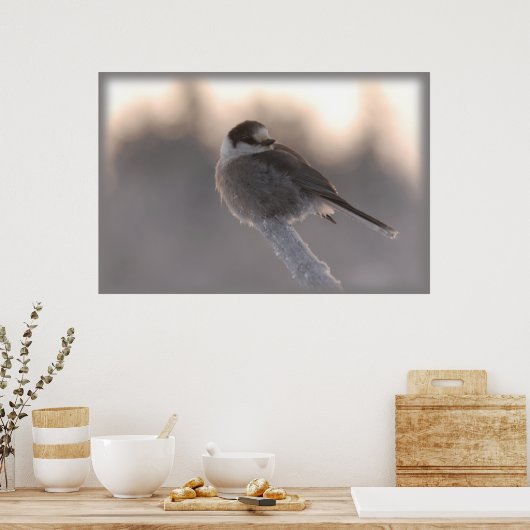 Graue Jay 2 Poster (Küche)