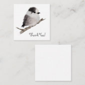 Graue Jay Bird Vielen Dank Notizkarte Mitteilungskarte (Vorne/Hinten)