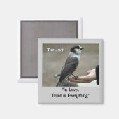 Graue Jay-Motivierend Magnete Magnet (Vorderseite/Rückseite)