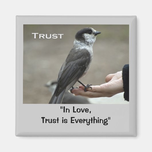 Graue Jay-Motivierend Magnete Magnet (Vorne)