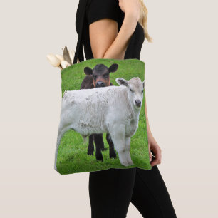 Graue Kälber Murrays (typische ländliche Szene v Tasche