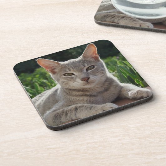 Graue Kat-Untersetzer Untersetzer (Linke Seite)