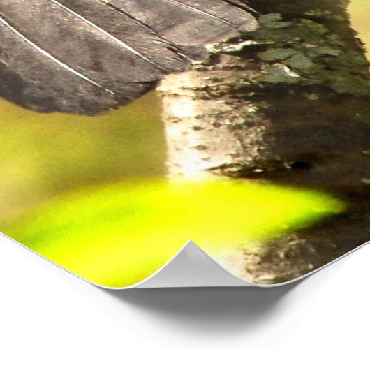 Graue Katvögel singen ihr Lied Poster (Ecke)