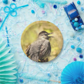 Graue Katvogel singt seine Songs Papier Plate Pappteller (Party)