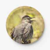 Graue Katvogel singt seine Songs Papier Plate Pappteller (Vorderseite)