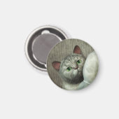 Graue Katze 1 Magnet (Vorderseite/Rückseite)