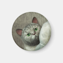 Graue Katze 1 Magnet