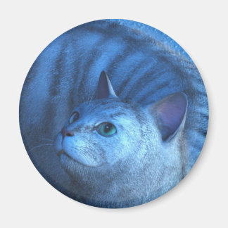 Graue Katze 4 Magnet