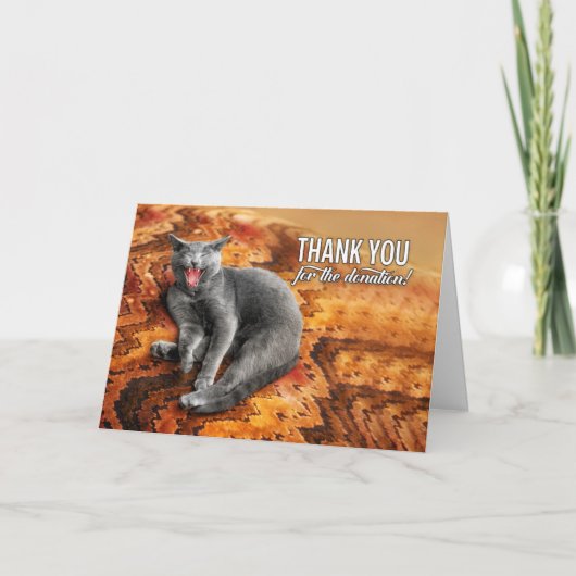 Graue Katze auf einem Kissen Spender Dankeskarte (Vorderseite)