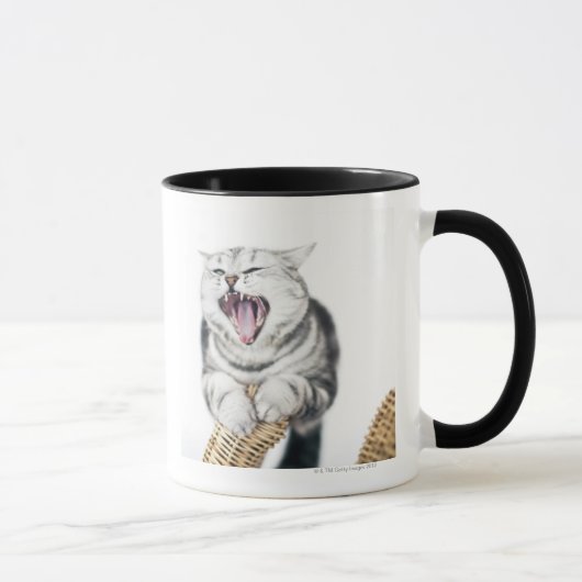 graue Katze auf weißem Hintergrund Tasse (Rechts)