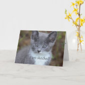 Graue Katze Belated Geburtstag Karte (Gelbe Blume)