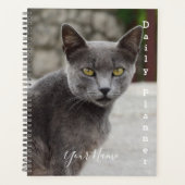 Graue Katze Chartreux - Tagesplaner - HAMbWG Planer (Vorderseite)