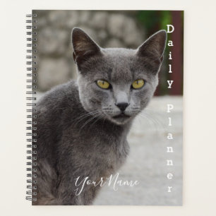 Graue Katze Chartreux - Tagesplaner- HAMbWG Planer