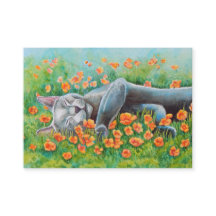 Graue Katze Doppelseitiges ACEO