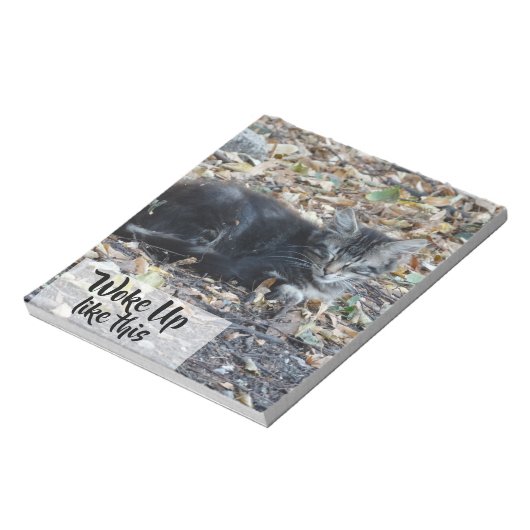 Graue Katze Funny Custom Text Notizblock (Rotiert)