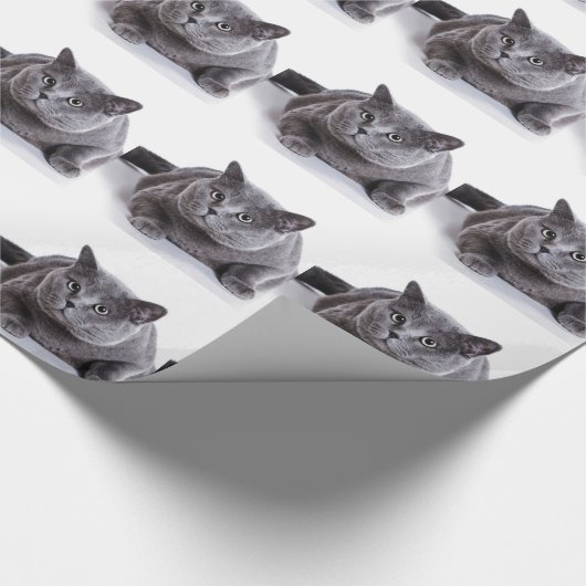 Graue Katze Geschenkpapier (Ecke)