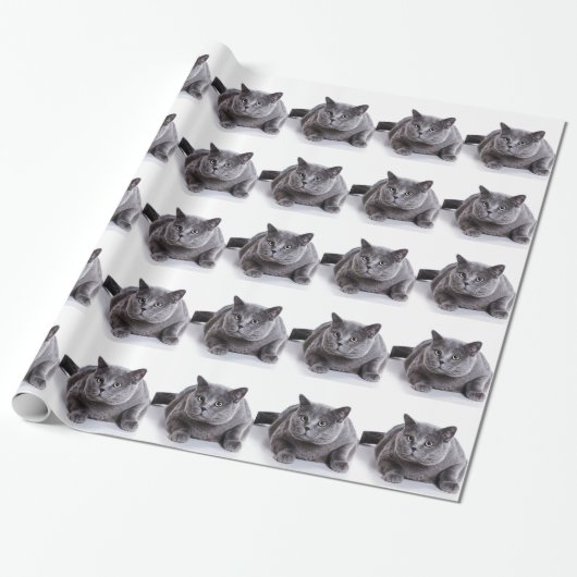 Graue Katze Geschenkpapier (Ungerollt)