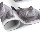 Graue Katze Geschenkpapier (Rolleneckpunkt)