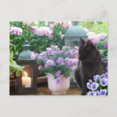 Graue Katze im Garten Postkarte (Vorderseite)
