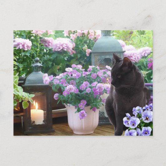Graue Katze im Garten Postkarte (Vorderseite)