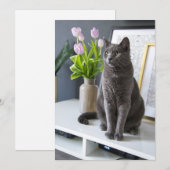 Graue Katze in einem Büro. Feiertagskarte (Vorne/Hinten)