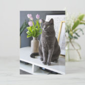 Graue Katze in einem Büro. Feiertagskarte (Stehend Vorderseite)