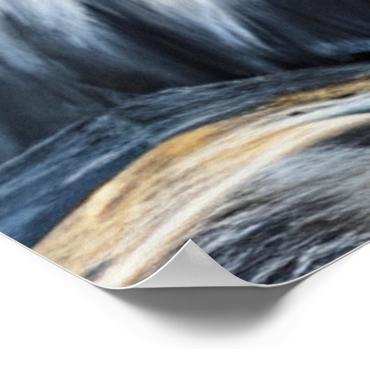 Graue Katze in einer Krone Poster (Ecke)