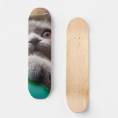 Graue Katze in Faltschachtel Skateboard (Vorderseite)