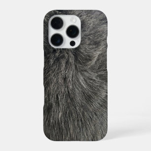 graue Katze iPhone 16 Pro Hülle