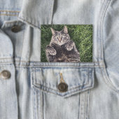 graue Katze liegt im Gras Abzeichen Button (Insitu)