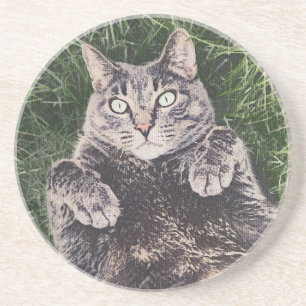 graue Katze liegt im Gras Digitale Kunst Getränkeuntersetzer