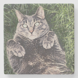 graue Katze liegt im Gras digitale Kunst Steinuntersetzer