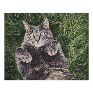 graue Katze liegt im Gras Poster