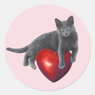 Graue Katze mit Aufkleber für das rote Herz