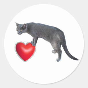 Graue Katze mit Aufklebern für das rote Herz Runder Aufkleber