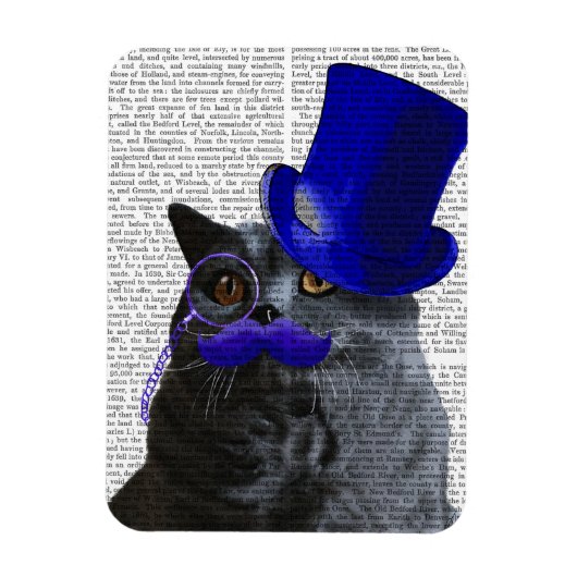 Graue Katze mit Blue Top Hat und Blue Mustache Magnet (Vertikal)