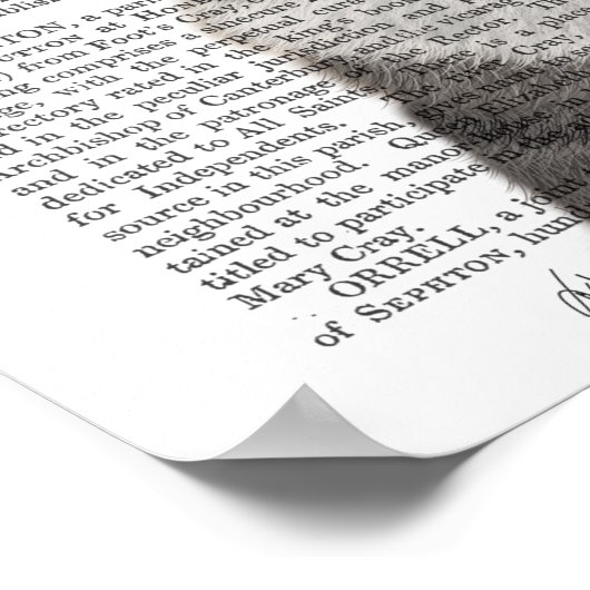 Graue Katze mit Büchern auf Kopf Poster (Ecke)