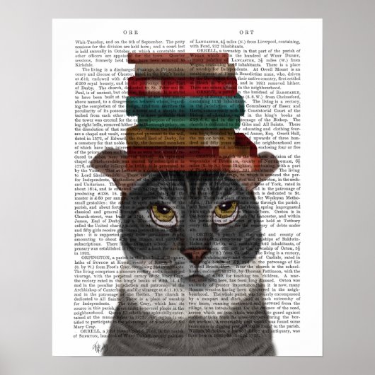 Graue Katze mit Büchern auf Kopf Poster (Vorne)