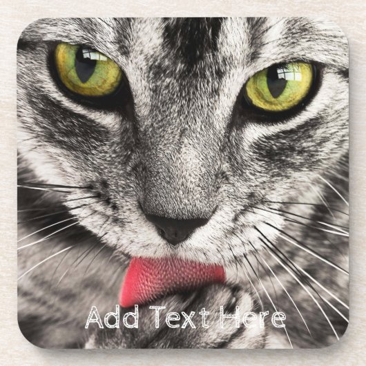 Graue Katze mit gelben Augen leckende Paste Getränkeuntersetzer (Vorderseite)