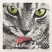 Graue Katze mit gelben Augen leckende Paste Glasuntersetzer (Vorderseite)