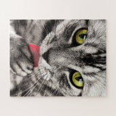 Graue Katze mit gelben Augen leckende Paste Puzzle (Horizontal)