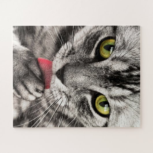 Graue Katze mit gelben Augen leckende Paste Puzzle (Horizontal)