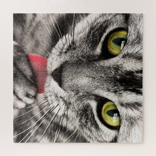 Graue Katze mit gelben Augen leckende Paste Puzzle (Horizontal)