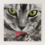 Graue Katze mit gelben Augen leckende Paste Puzzle (Vertikal)